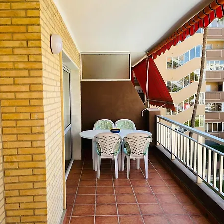 Palm Appartement *